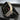 Apple Watch Armband⎜sport